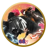 68y